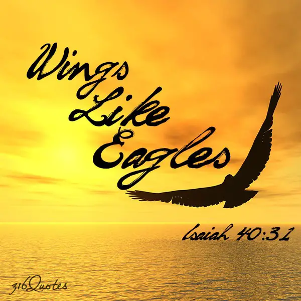Wings Like Eagles - Isaiah 40:31