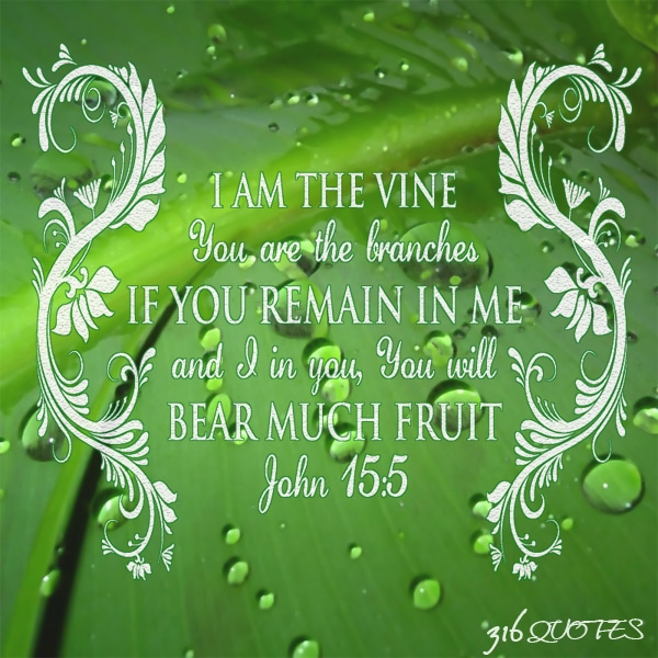 I Am The Vine - John 15:5