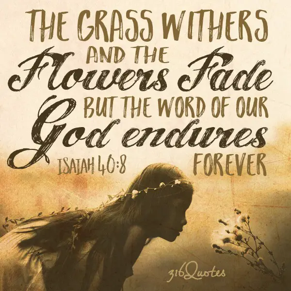 The grass withers and the flowers fade but the word of our God endures forever - Isaiah 40:8