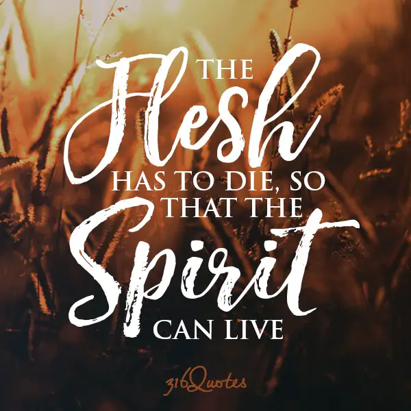The Flesh and Spirit - Galatians 5:16