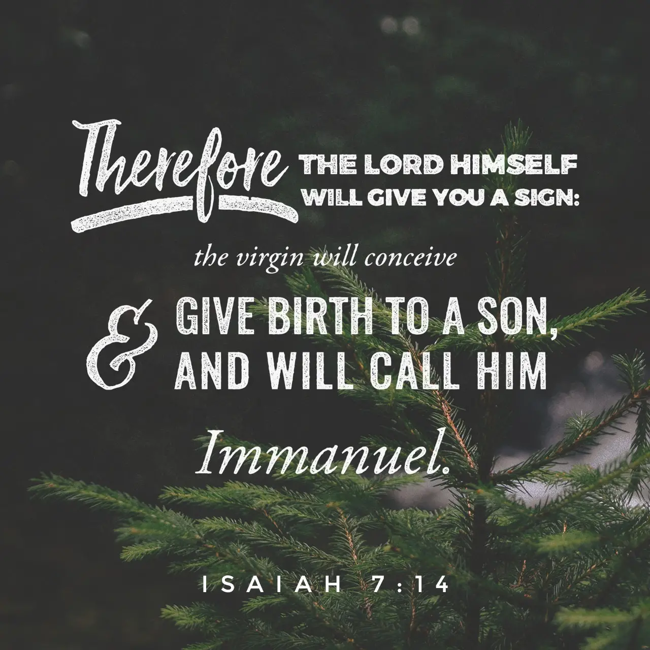 Call Him Immanuel - Isaiah 7:14