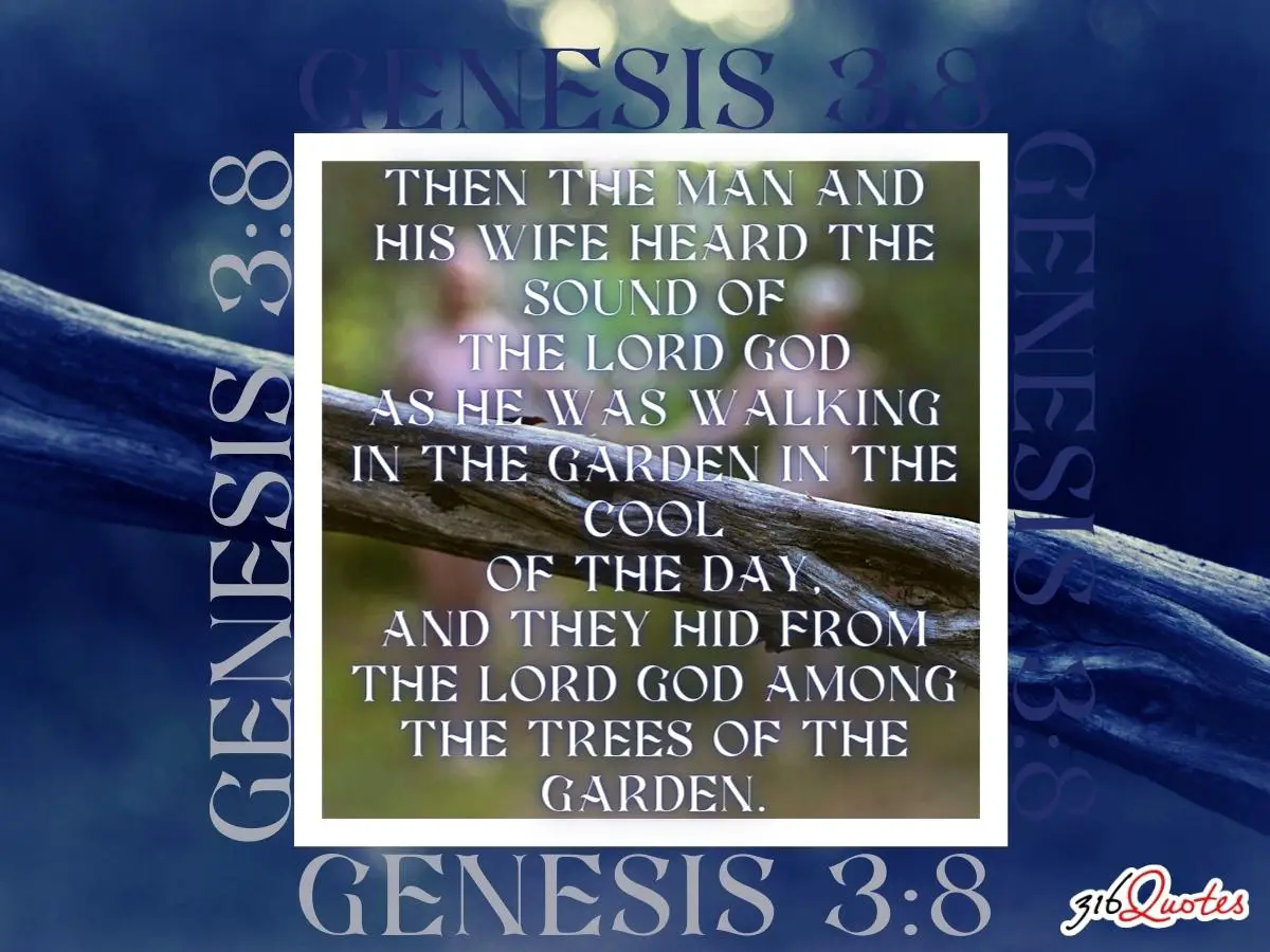 They Hid From The Lord God Among The Trees - Genesis 3:8