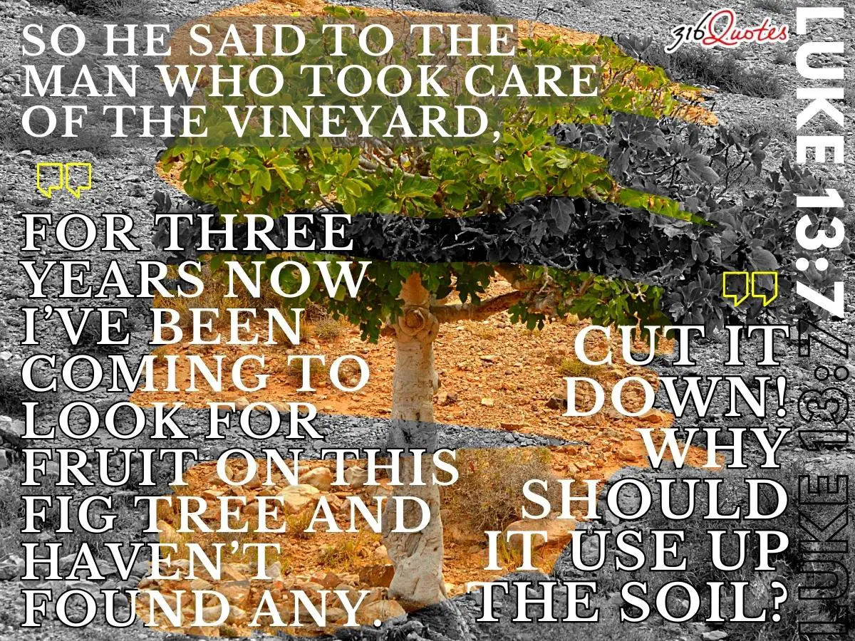 Cut It Down! Why Should It Use Up The Soil? - Luke 13:7
