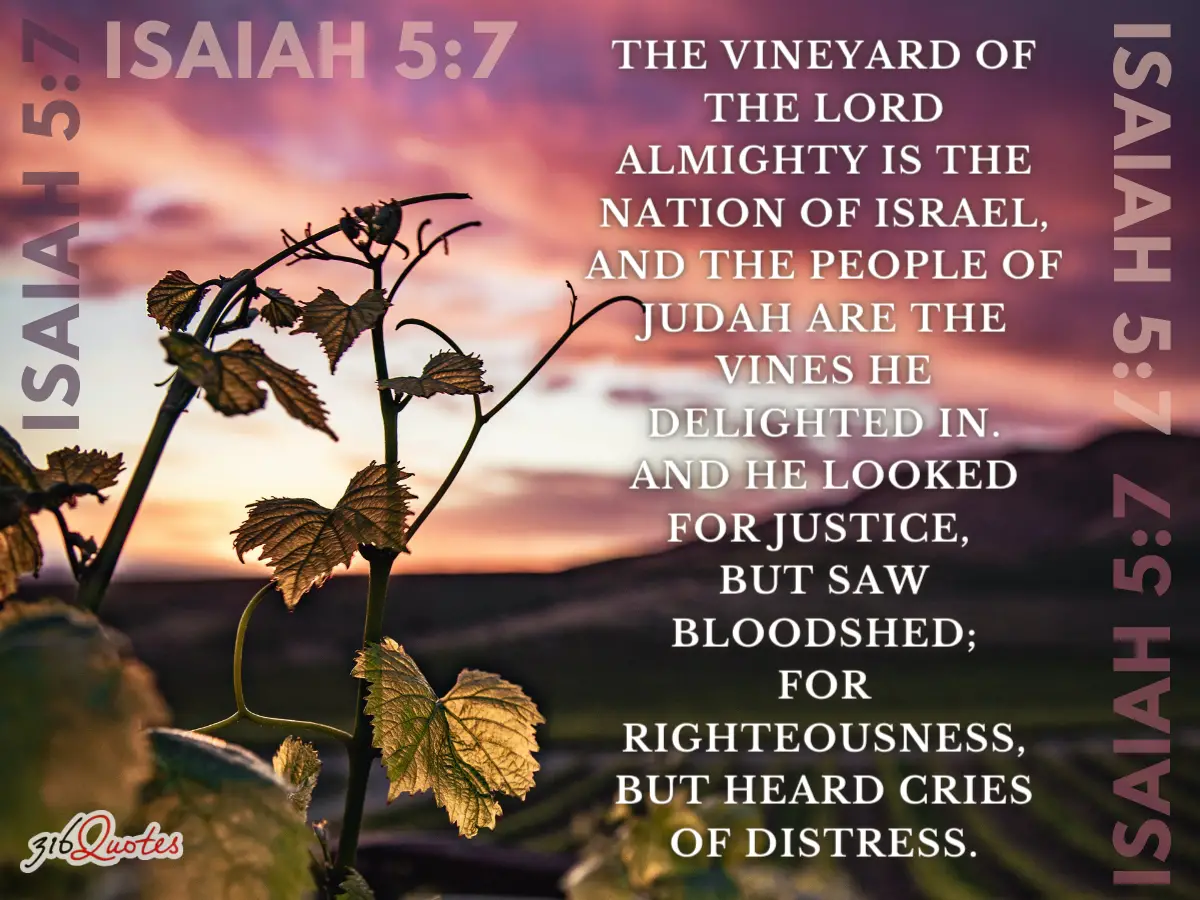 The Vineyard Of The Lord Almighty - Isaiah 5:7